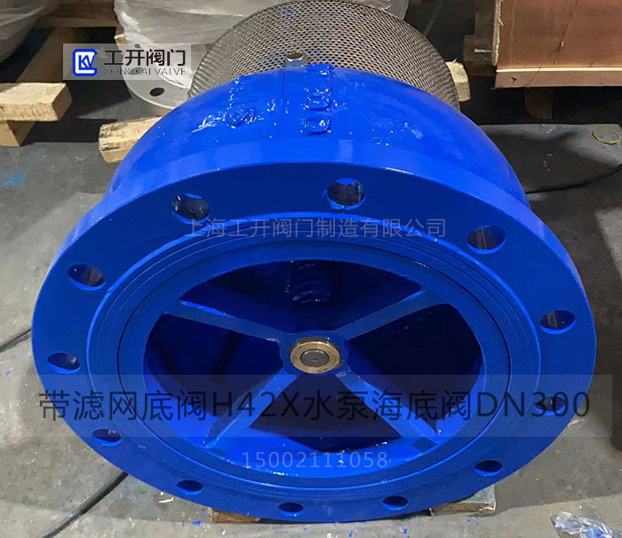 過濾網(wǎng)水泵法蘭底閥
