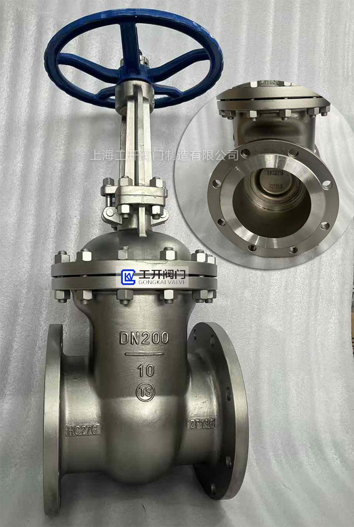HC-276材質閘閥